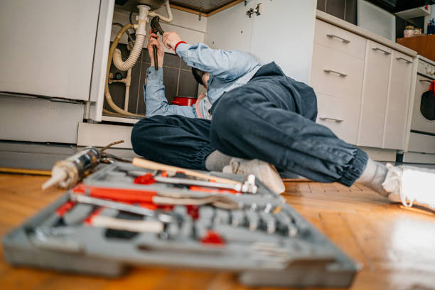 Best Plumbing Inspection Services  in Petersburg, AK